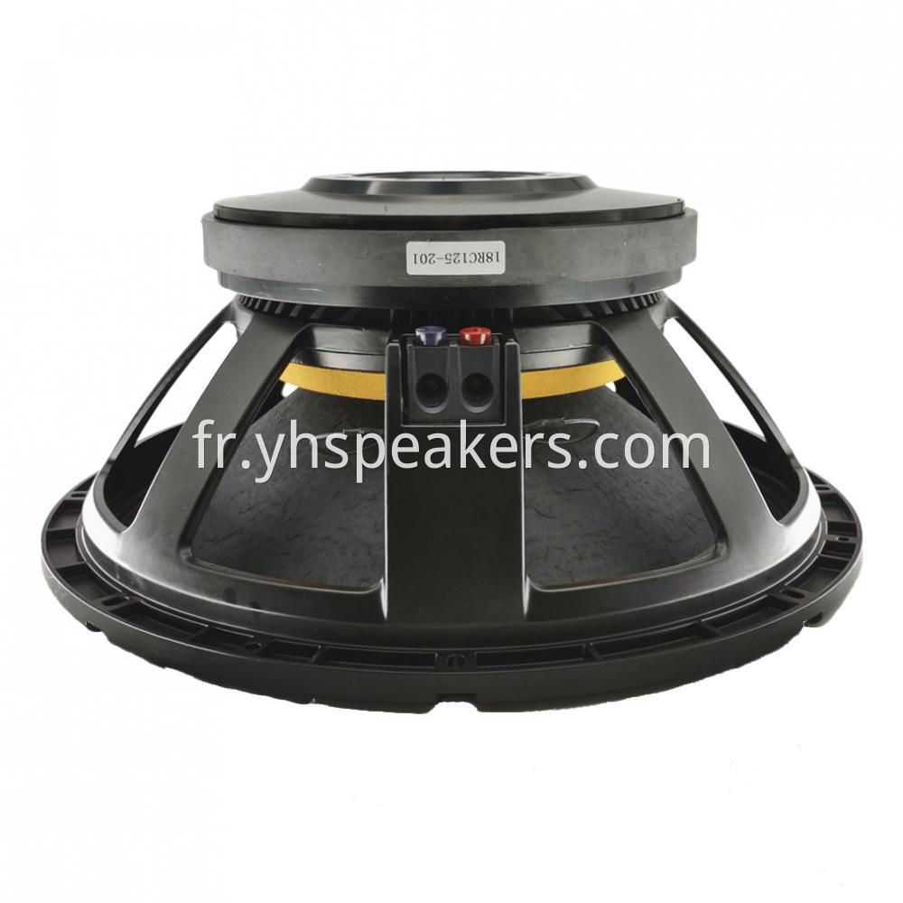 18 inch PRO Audio Sub Speaker